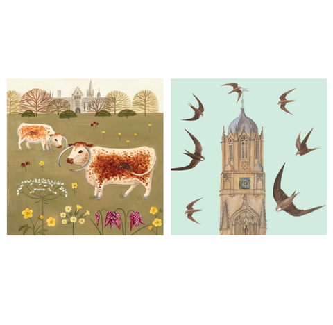 Christ Church College Set of 6 Cards