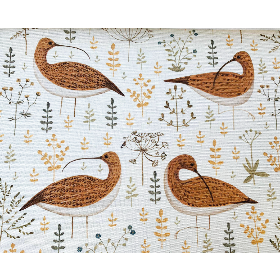 Captivating Curlews Fabric