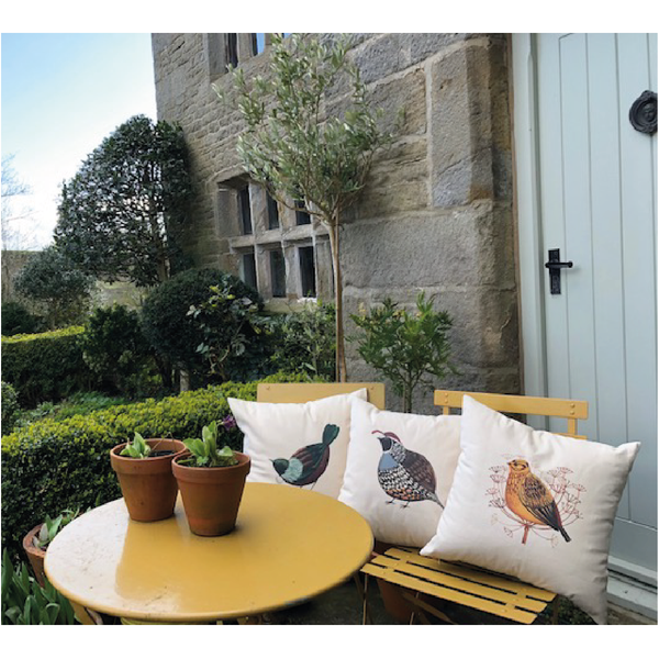 Mellow Yellowhammer Cushion