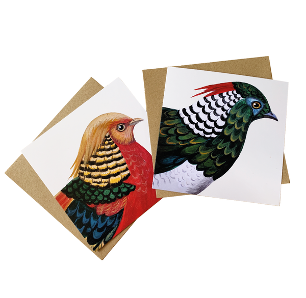 Fabulous Pheasant Set of 6 Cards