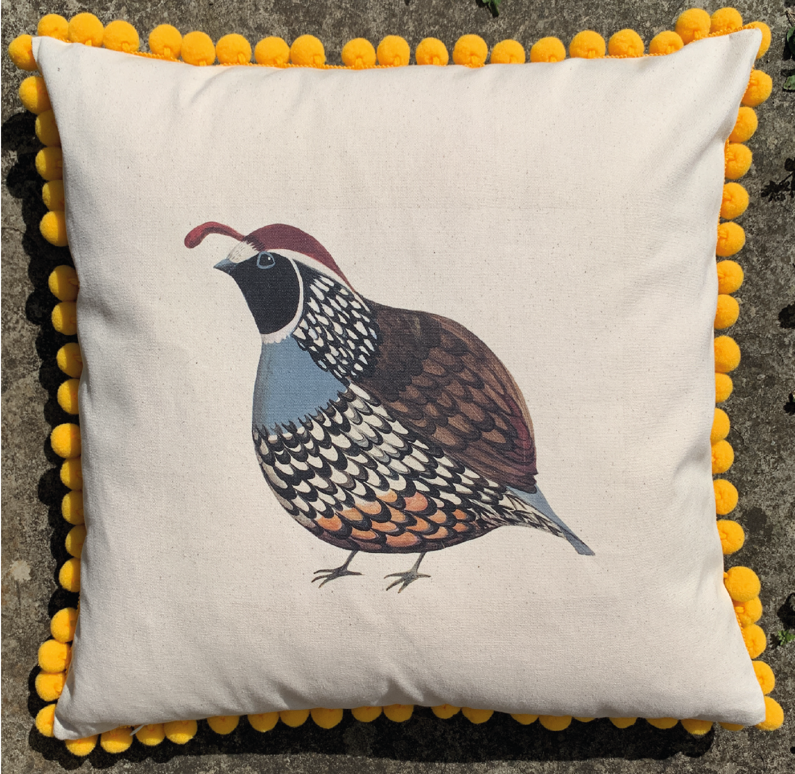 Limited Edition Quivering Quail Pom Pom Cushion 