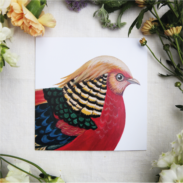 Fabulous Pheasant Set of 6 Cards