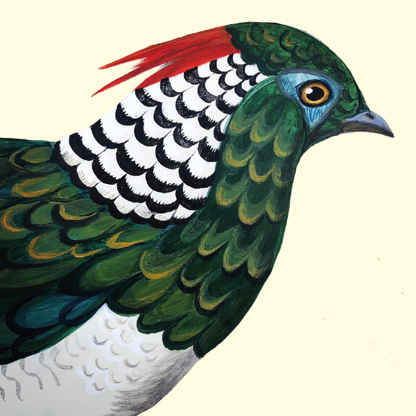 Fabulous Pheasant Notebook Set