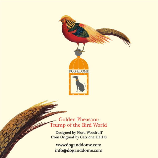 Fabulous Pheasant Notebook Set